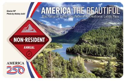 Resident Services